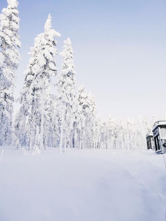 Levi Sky Igloo With Private Sauna And Hot Tub Dış mekan fotoğraf